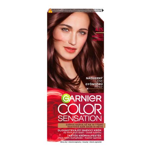 Garnier Color Sensation 40 ml farba na vlasy pre ženy 4,15 Icy Chestnut na všetky typy vlasov; na farbené vlasy