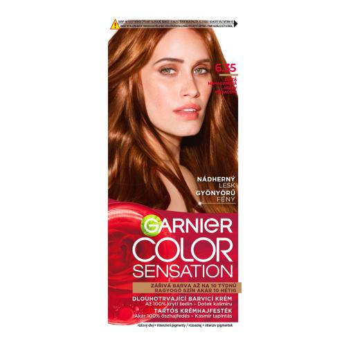 Garnier Color Sensation farba na vlasy odtieň 6.35 Chic Brown 1 ks