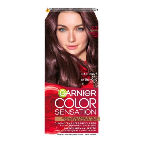 Garnier Color Sensation farba na vlasy odtieň 2.2 Onyx 1 ks