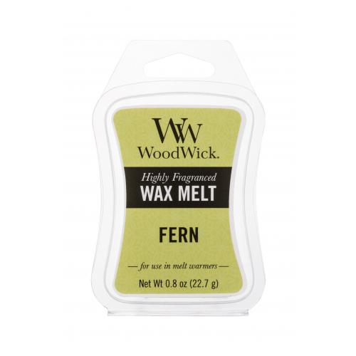 WoodWick Fern 22,7 g vonný vosk unisex