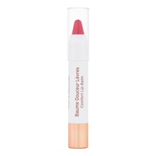 Embryolisse Artist Secret Comfort Lip Balm 2,5 g hydratačný a tónujúci balzam na pery pre ženy Rouge Intense