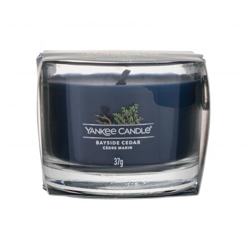 Yankee Candle Bayside Cedar votívna sviečka 37 g