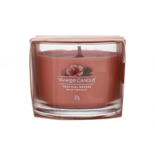 Yankee Candle Tropical Breeze votívna sviečka 37 g
