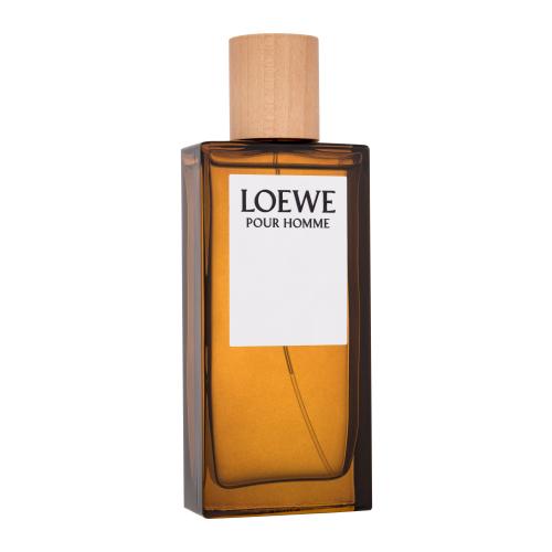 Loewe Loewe Pour Homme toaletná voda pre mužov 100 ml