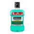 Listerine Teeth & Gum Defence Defence Fresh Mint Mouthwash Ústna voda 1000 ml