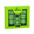 Xpel Tea Tree Darčeková kazeta pre ženy šampón 100 ml + kondicionér 100 ml + sérum na vlasy 30 ml