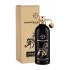 Montale Arabians Tonka Parfumovaná voda 100 ml
