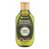 Garnier Botanic Therapy Olive Mythique Šampón pre ženy 250 ml
