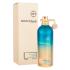 Montale Intense So Iris Parfumovaná voda 100 ml