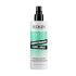 Redken Curl Stylers Refreshing Curl Mist Pre podporu vĺn pre ženy 250 ml