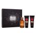 Dsquared2 Wood Darčeková kazeta toaletná voda 100 ml + sprchovací gél 100 + balzam po holení 100 ml