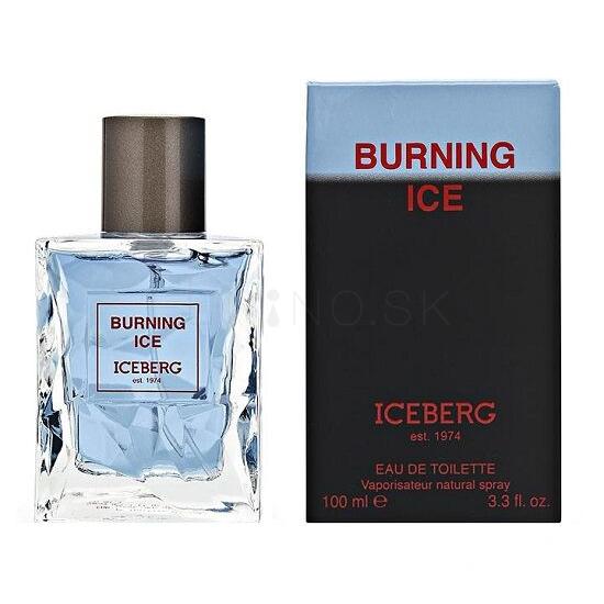 Iceberg Burning Ice Toaletná voda pre mužov 100 ml tester