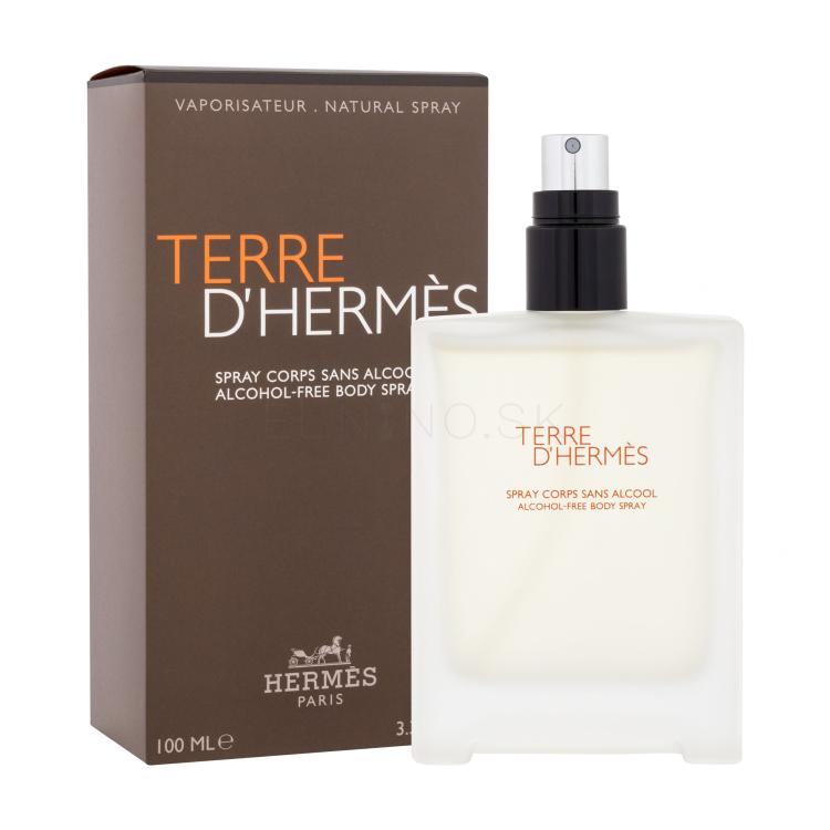 Hermes Terre d´Hermès Telový sprej pre mužov 100 ml