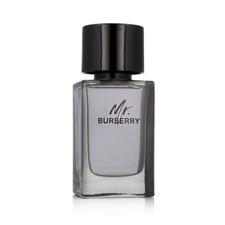 Burberry Mr. Burberry Toaletná voda pre mužov 100 ml