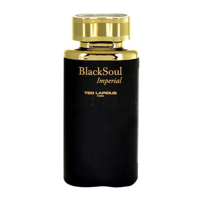 Ted Lapidus Black Soul Imperial Toaletná voda pre mužov 100 ml tester
