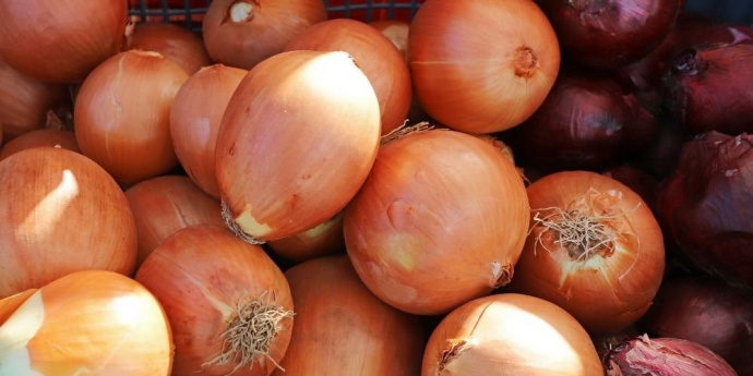 Cibuľa pre tmavšie vlasy